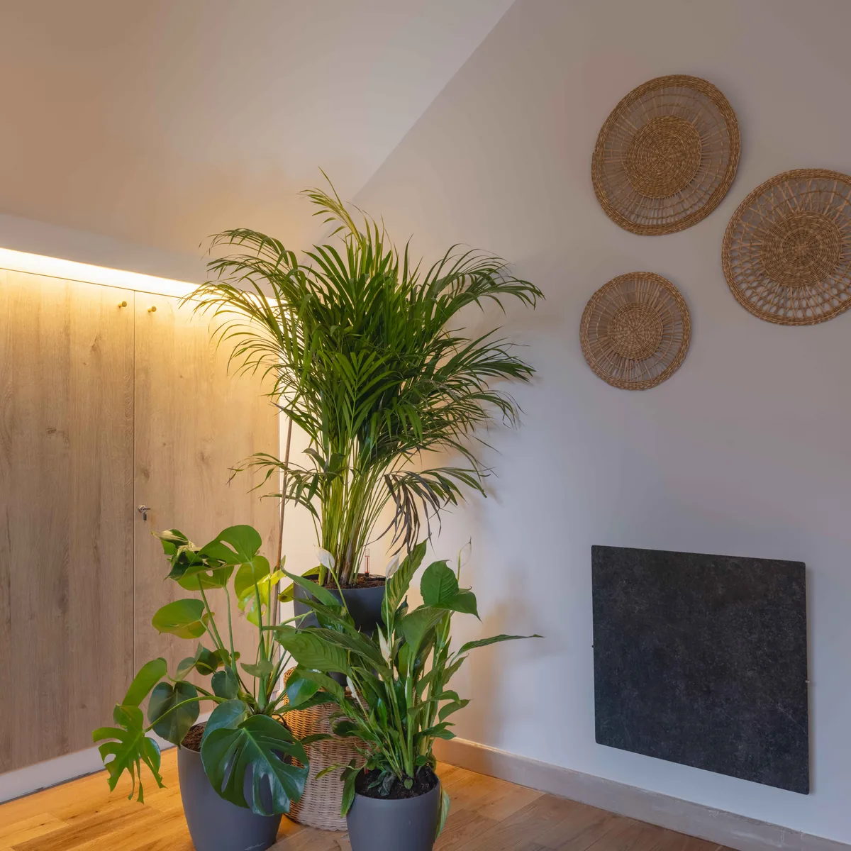 Plantes tropicales décoration chambre — suite privée La Parenthèse